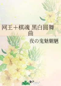 《网王+棋魂 黑白圆舞曲》