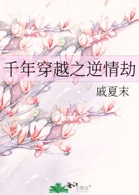 《千年穿越之逆情劫》