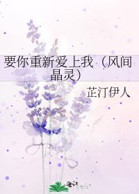 《要你重新爱上我(风间晶灵)》
