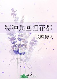 《特种兵回归花都》