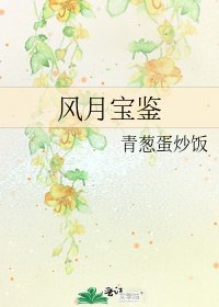 《风月宝鉴》