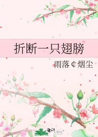《折断一只翅膀》