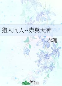 《猎人同人--赤翼天神》