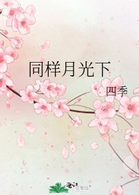 《同样月光下》