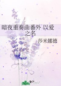 《暗夜重奏曲番外 以爱之名》