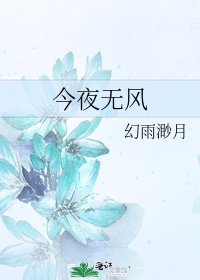 《今夜无风》