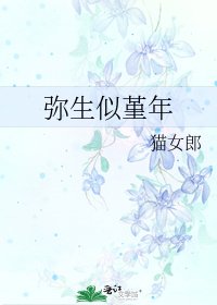 《弥生似堇年》