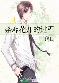 《荼靡花开的过程》