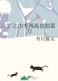 《斗罗之功夫再高也怕菜刀》