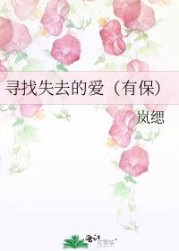 《寻找失去的爱(有保)》