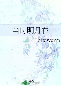 当时明月在