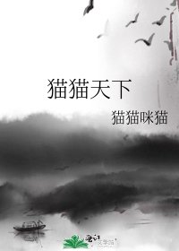 《猫猫天下》