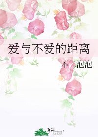 《爱与不爱的距离》
