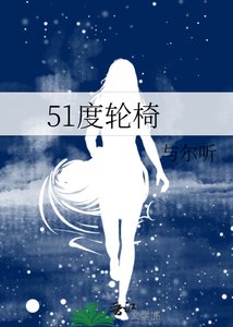 《51度轮椅》