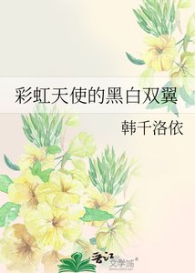 《彩虹天使的黑白双翼》