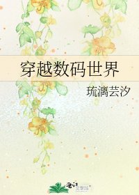 穿越数码世界