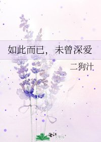 《如此而已,未曾深爱》