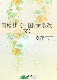 《青楼梦(中国v家歌改文)》