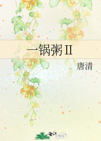 《一锅粥Ⅱ》