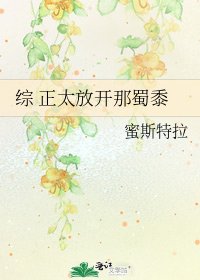 《综 正太放开那蜀黍》