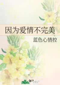 《因为爱情不完美》