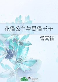 《花猫公主与黑猫王子》