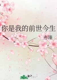 你是我的前世今生