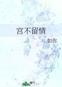 《宫不留情》