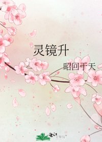 《灵镜升》