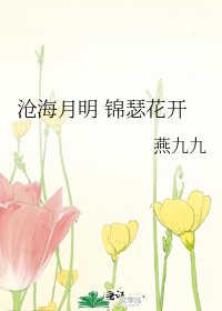 《沧海月明 锦瑟花开》