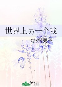 《世界上另一个我》