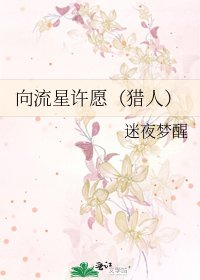 《向流星许愿(猎人)》