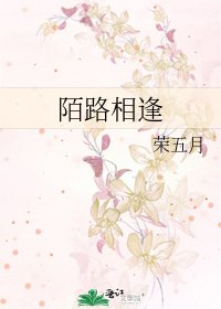 《陌路相逢》
