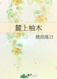 《麓上柚木》