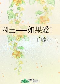 《网王——如果爱!》