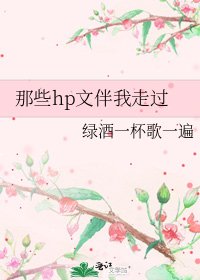 《那些hp文伴我走过》