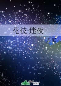 《花枝·迷夜》