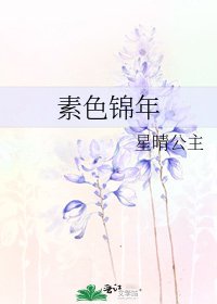 《素色锦年》