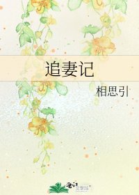 《追妻记》