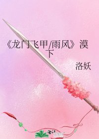 龙门飞甲/雨风