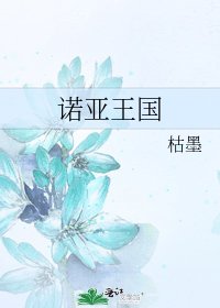 《诺亚王国》