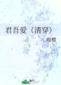 《君吾爱(清穿)》