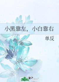 《小黑靠左,小白靠右》