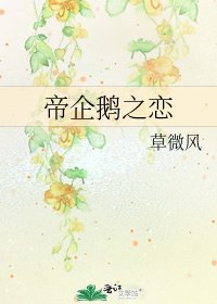 帝企鹅之恋