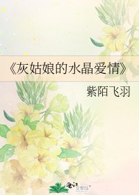 《灰姑娘的水晶爱情》