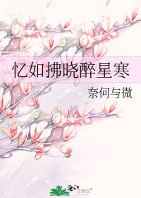 《忆如拂晓醉星寒》