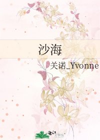 《沙海》