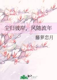尘归彼岸，风随流年