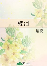 《蝶泪》