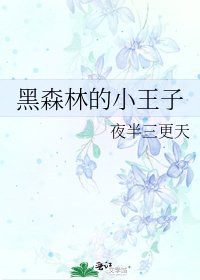 《黑森林的小王子》